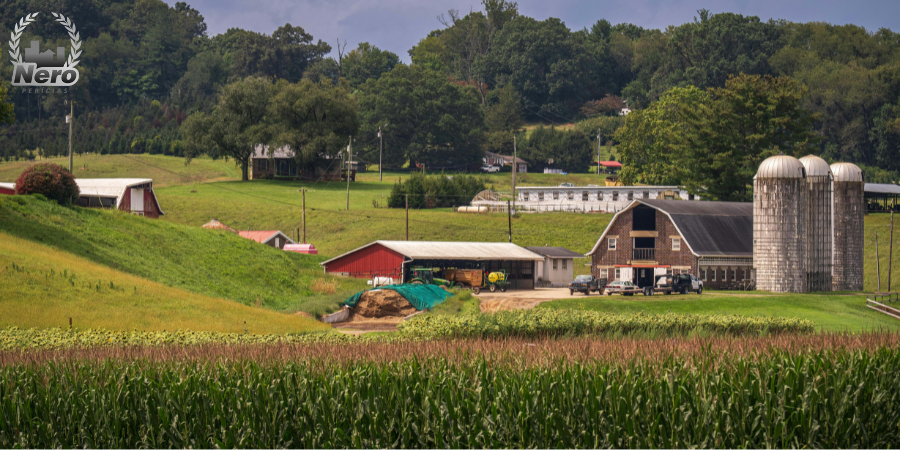 Conceito de imóvel rural Estatuto da terra